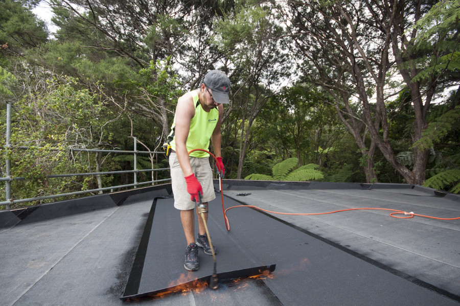 Careful Luis. Don't burn the house down. Or the trees!