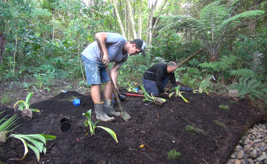 Planting time under Lance's expert tutelage. 